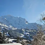 Plein Soleil By Interhome Lejlighed Wengen