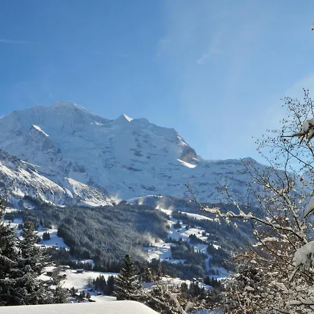 Plein Soleil By Interhome Apartment Wengen